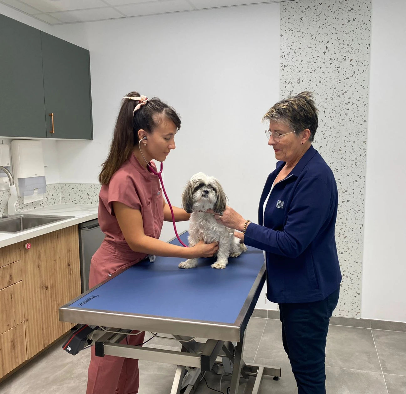 Photo d'un chien se faisant ausculter par une vétérinaire.