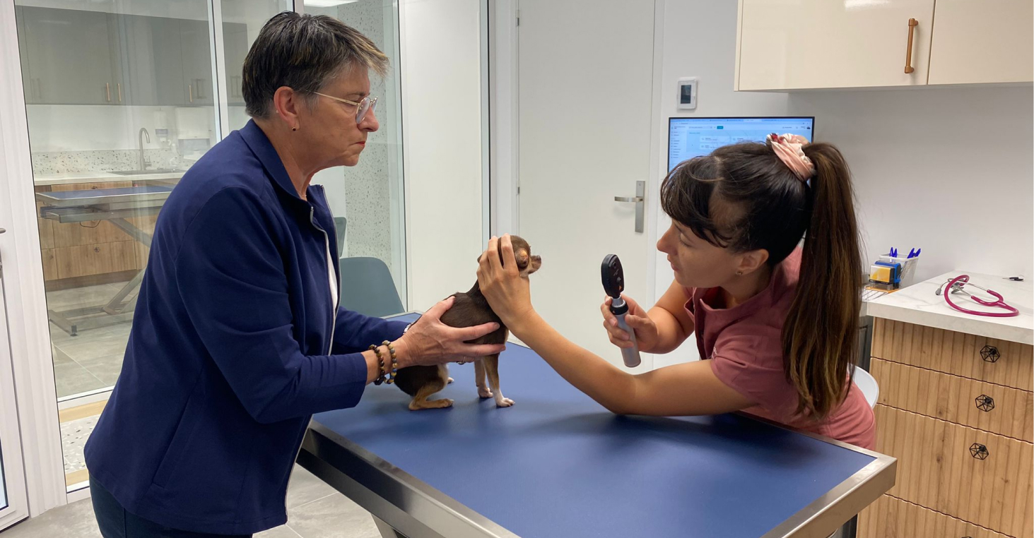 Photo de la salle de consultation pour chien, chat, NAC de la clinique vétérinaire carré Saint-Rémy.